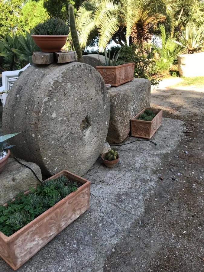A Casa Di Peppino Villa Greco Tindari Zewnętrze zdjęcie