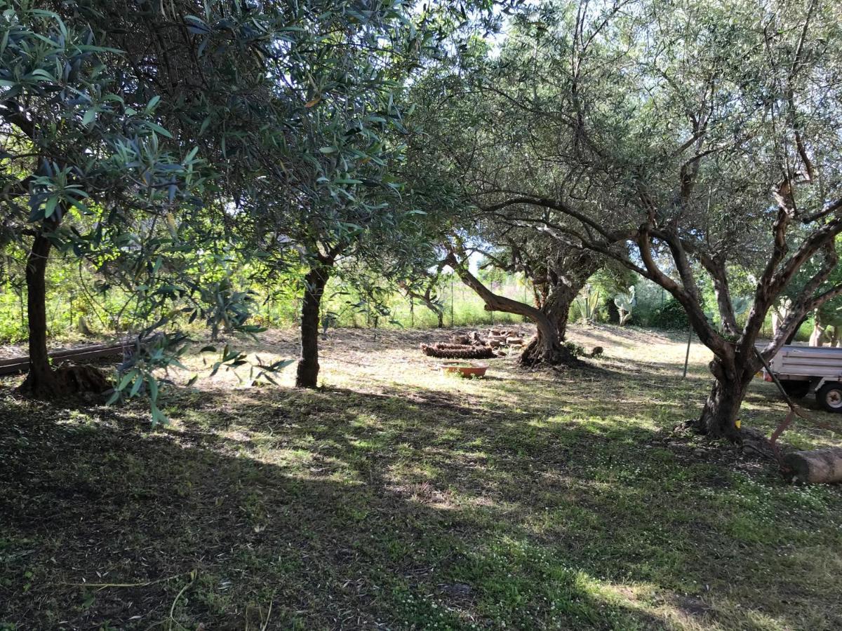A Casa Di Peppino Villa Greco Tindari Zewnętrze zdjęcie