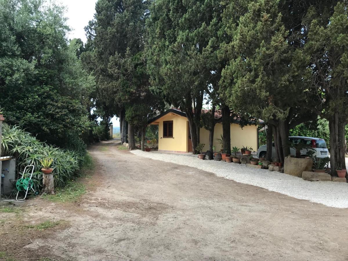 A Casa Di Peppino Villa Greco Tindari Zewnętrze zdjęcie