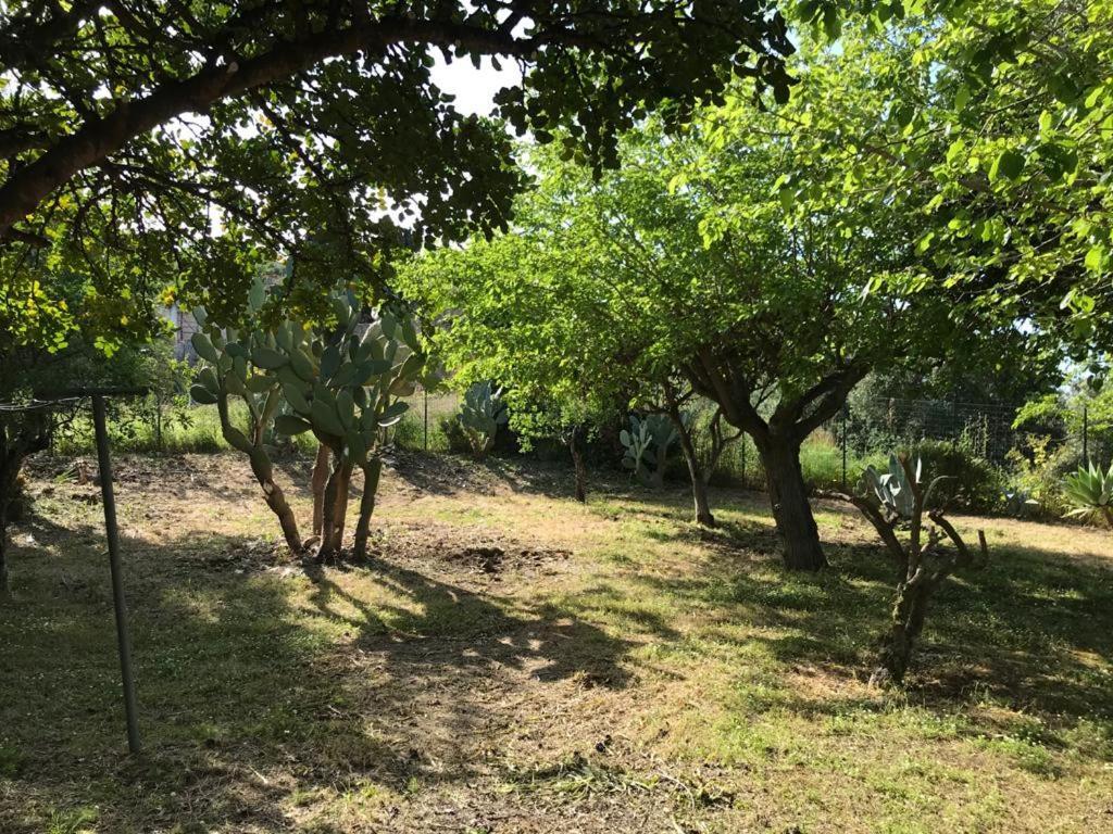 A Casa Di Peppino Villa Greco Tindari Zewnętrze zdjęcie