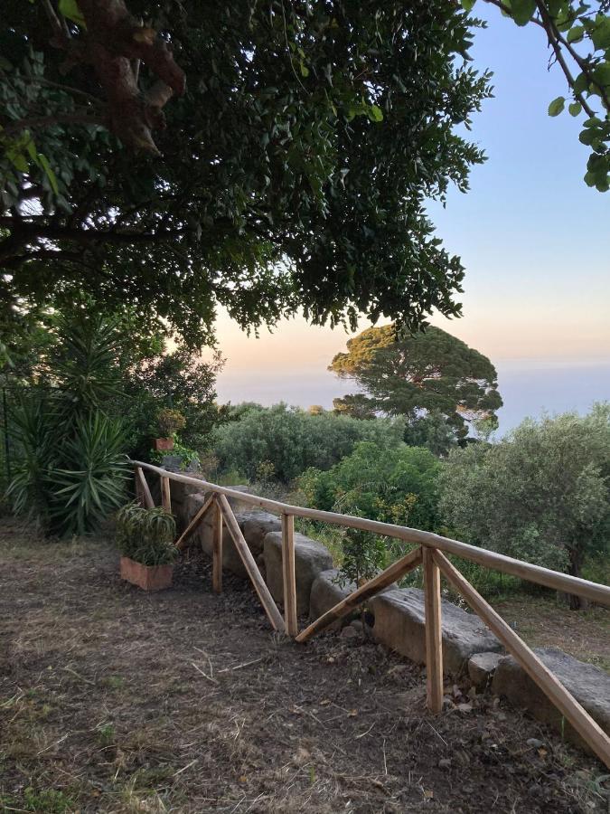 A Casa Di Peppino Villa Greco Tindari Zewnętrze zdjęcie